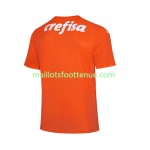 Maillot/Tenue Palmeiras Gardien Troisieme 2022/2023